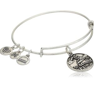 Alex and Ani St.Maarten Airplane Silver Bracelet